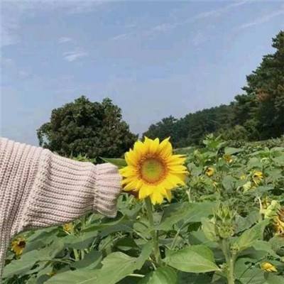 玄煌剑仙手机版下载